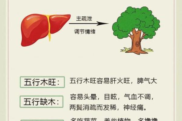 五行格局揭秘:性格解析中的隐藏秘密,你缺什么? 五行格局揭秘:性格解析中的隐藏秘密,你缺什么?