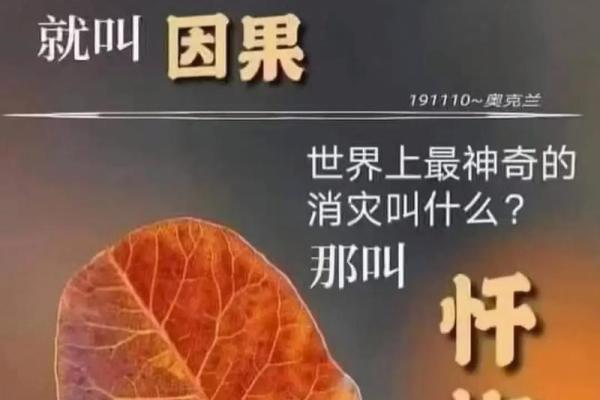 善缘命理中的误区:错过这些,你的命运可能早已注定 善缘命理中的误区:错过这些,你的命运可能早已注定