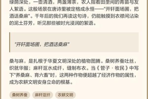 从农耕到天文:中国节日的深厚文化根基 从农耕到天文:中国节日的深厚文化根基