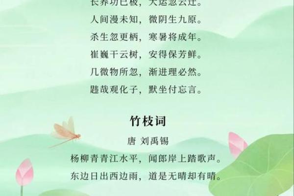 的节日传承,回归自然的养生智慧 的节日传承,回归自然的养生智慧