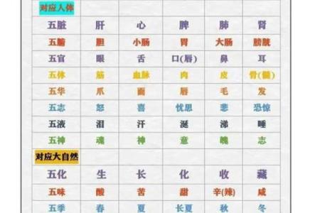 五行格局揭秘:性格解析中的隐藏秘密,你缺什么?