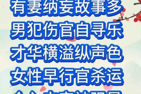 善缘命理中的误区:错过这些,你的命运可能早已注定