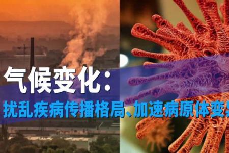 蓝色五行格局重塑：揭秘性格解析的实用技巧，助你成为更好的人