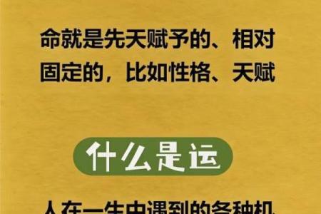 魏磊命理揭秘：命运暗藏玄机，如何改变你的人生轨迹