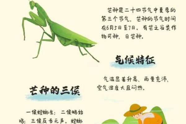 的农耕习俗,如何为丰收季做准备 的农耕习俗,如何为丰收季做准备