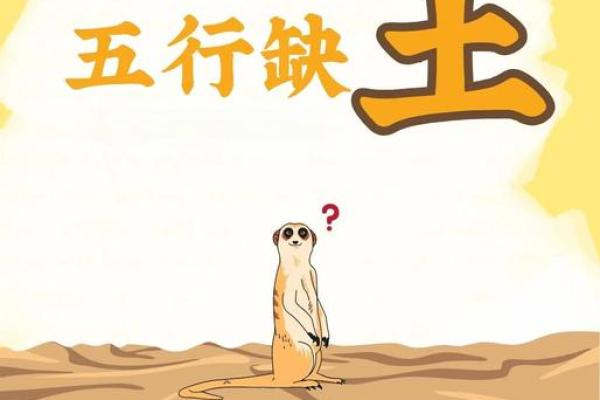 五行误区大揭秘:土元素真的只代表稳重吗? 五行误区大揭秘:土元素真的只代表稳重吗?