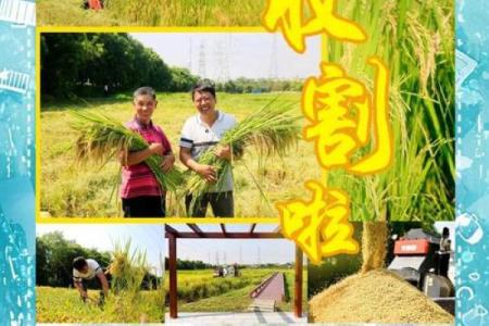 的农耕习俗，如何为丰收季做准备