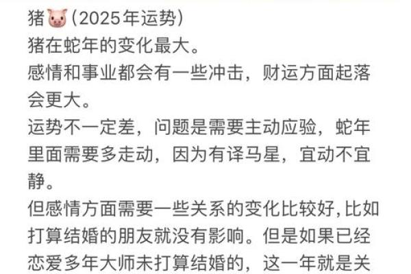 属猪的命运密码,你是否走进了常见的命理误区 属猪的命运密码,你是否走进了常见的命理误区