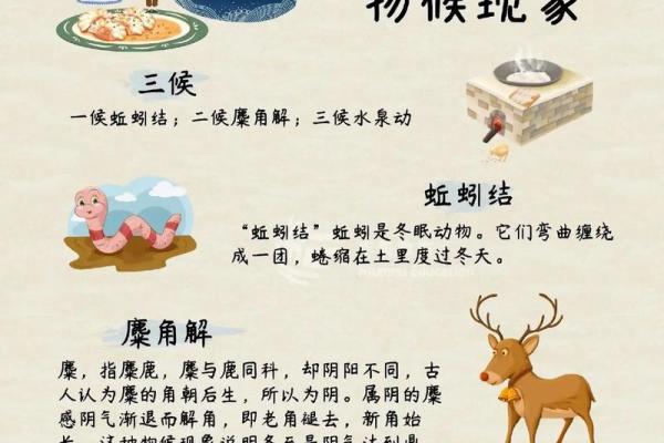 冬至节:冬至的天文现象与传统养生智慧 冬至节:冬至的天文现象与传统养生智慧