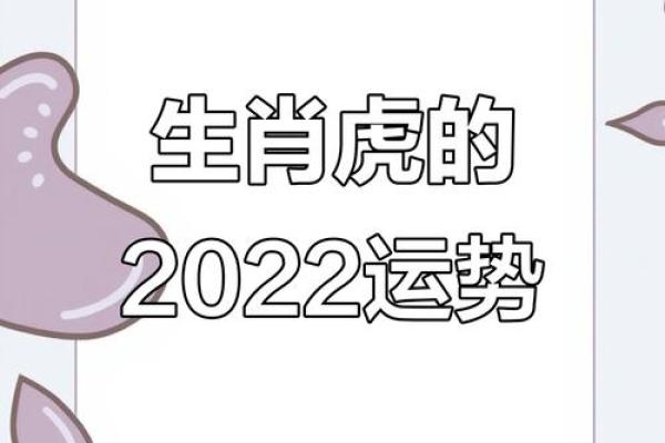 属虎性格解析新视角:五行格局中的隐藏天赋 属虎性格解析新视角:五行格局中的隐藏天赋