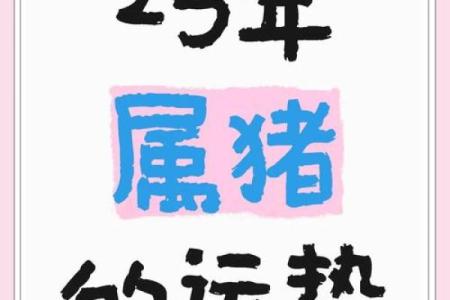 属猪的命运密码,你是否走进了常见的命理误区