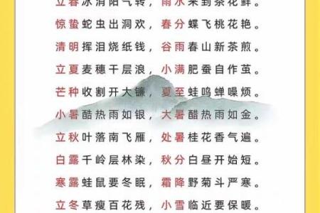 传统习俗与节日日历：每个节气背后的习俗与文化传承