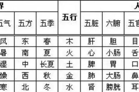 五行性格解析,反而让你更了解自己:揭秘实用技巧