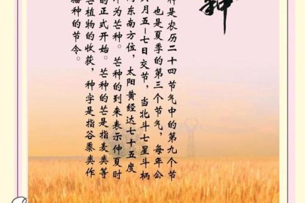 傣族丰收节:感恩自然与农耕的美好时光 傣族丰收节:感恩自然与农耕的美好时光