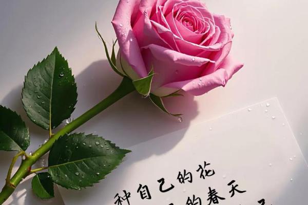 春天的气息:三月节令中的文化与健康关联 春天的气息:三月节令中的文化与健康关联