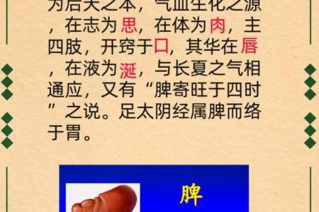 脾对应五行格局:揭秘如何通过脾五行看性格解析
