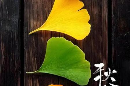 传统节日如何影响我们的生活方式与节令养生