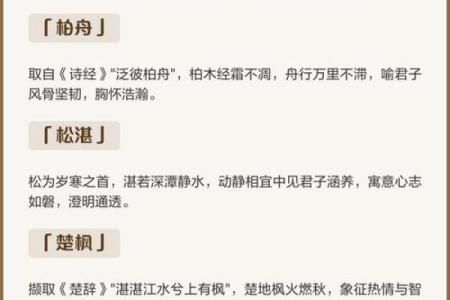 湛五行颠覆传统:揭秘性格解析误区,反而让你更懂自己