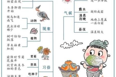 从节气到节日：解析农耕文化对节庆的影响