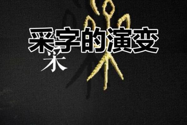 采字五行格局解析:揭秘性格的五行密码,你了解多少? 采字五行格局解析:揭秘性格的五行密码,你了解多少?