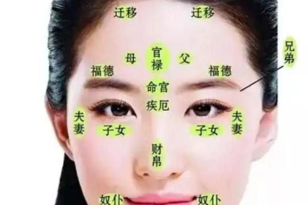 女人发际线高,命运密码揭示背后的暗藏玄机 女人发际线高,命运密码揭示背后的暗藏玄机