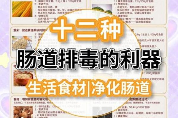 肠道五行格局重塑术：神秘实用，如何改变你的健康与性格？