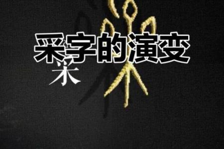 采字五行格局解析:揭秘性格的五行密码,你了解多少?