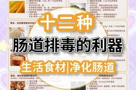 肠道五行格局重塑术:神秘实用,如何改变你的健康与性格?