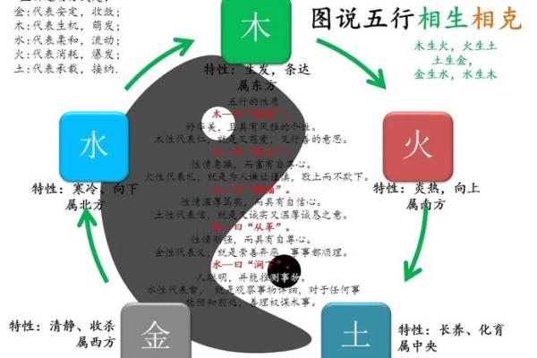 五行格局揭秘:如何通过器官看透你的性格解析? 五行格局揭秘:如何通过器官看透你的性格解析?