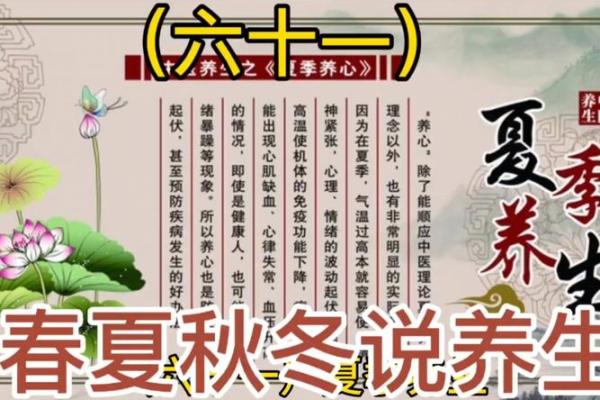 各地养生节日的文化底蕴与健康理念 各地养生节日的文化底蕴与健康理念