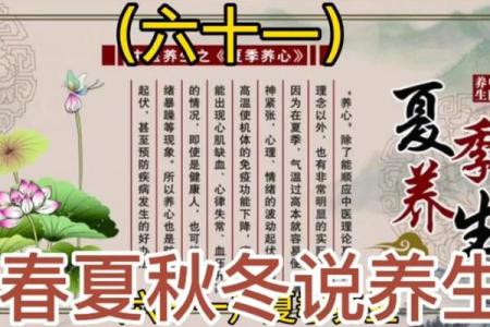 各地养生节日的文化底蕴与健康理念