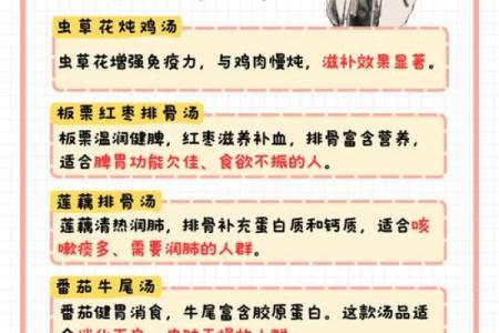 冬至养生，如何通过食疗调节身体与气候变化