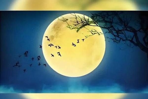 从农耕到天文，中秋背后的传统智慧