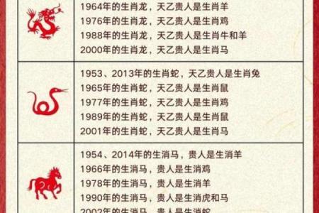 属龙命理反而是福还是祸?命运密码中的颠覆之谜