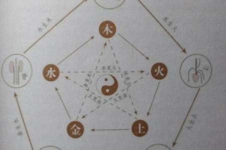 杉五行如何改变:打造和谐家居,提升生活品质