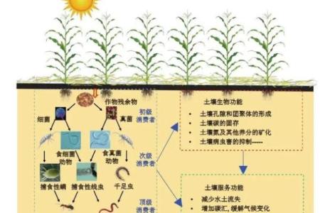 的农业启示,如何在这个节令里提升农田管理效率?