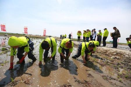 从农耕到现代,护士节如何融入我们的生活?
