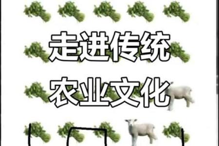 传统节日背后的农耕文化解读