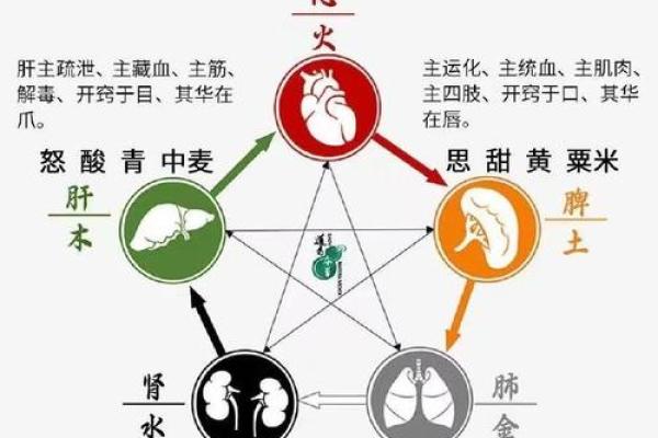 北方五行格局揭秘：揭秘你的性格特质与改变方向