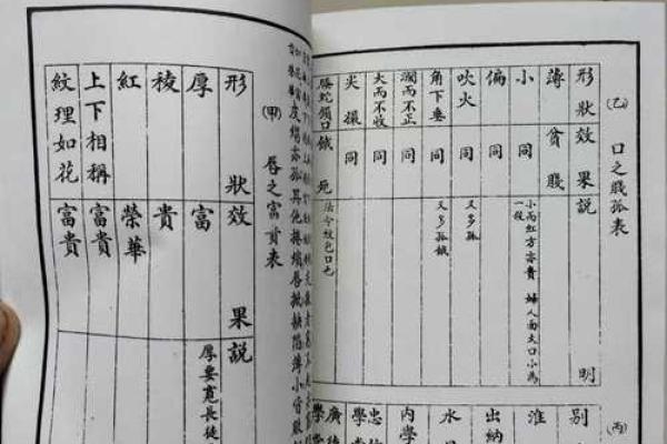 吻五行揭秘:性格解析之五行格局深度探索 吻五行揭秘:性格解析之五行格局深度探索