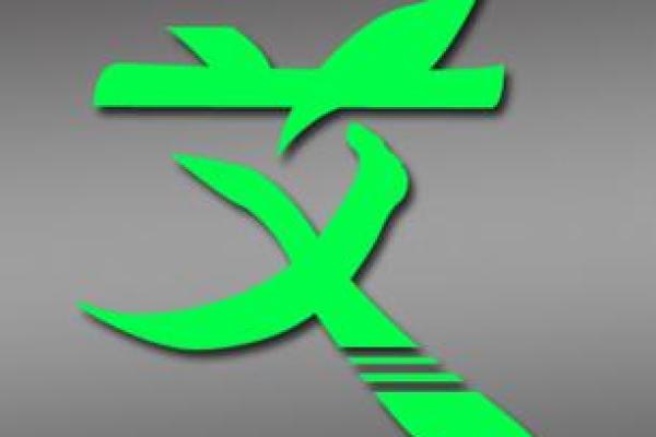 从艾五行格局出发,揭开性格转变的神秘面纱 从艾五行格局出发,揭开性格转变的神秘面纱