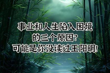 你可能一直忽略的八字误区：如何反而改变命运，揭开命运的神秘面纱