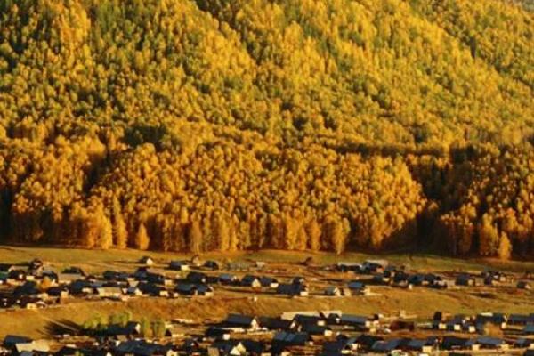 德国十月节日与大自然的和谐共生:秋天的故事 德国十月节日与大自然的和谐共生:秋天的故事