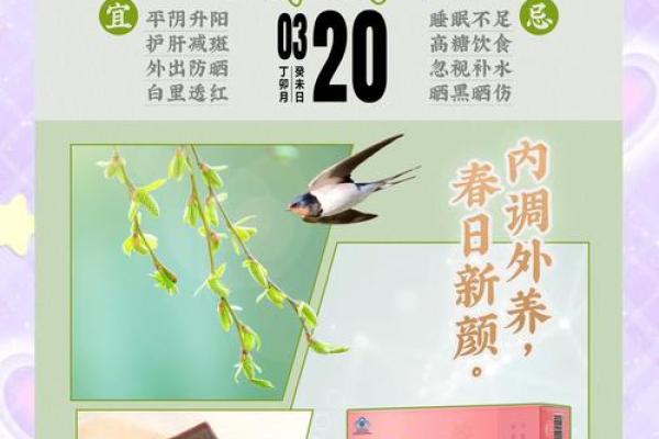 春分的气候与养生建议