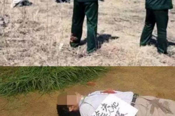 杭州纵火案的命运密码：误区或是暗藏的警示