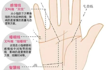断掌命理揭秘：命运密码背后的暗藏玄机
