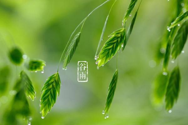 春天里的传统节日与农耕文化的深刻联系 春天里的传统节日与农耕文化的深刻联系