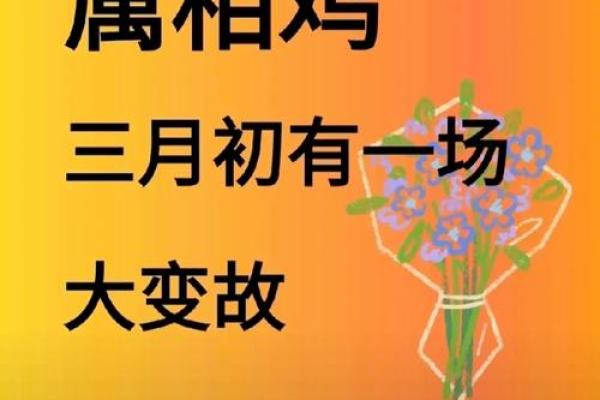 属鸡命理如何改变人生？破解命运背后的真相