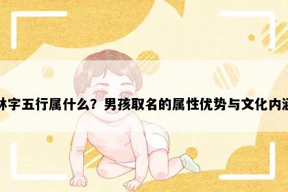 林字五行属什么？男孩取名的属性优势与文化内涵