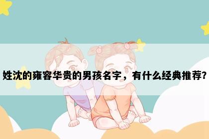 姓沈的雍容华贵的男孩名字，有什么经典推荐？